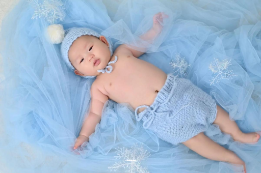 苍南宝宝树怎么样